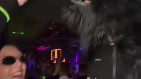 Gastoz - Zurka - Part 6