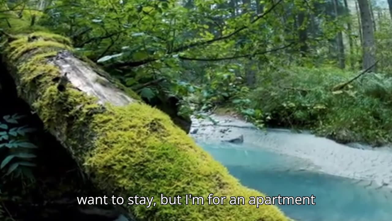 Benson Boone- Sorry I'm Here For Someone Else ft. Ghost In My Heart