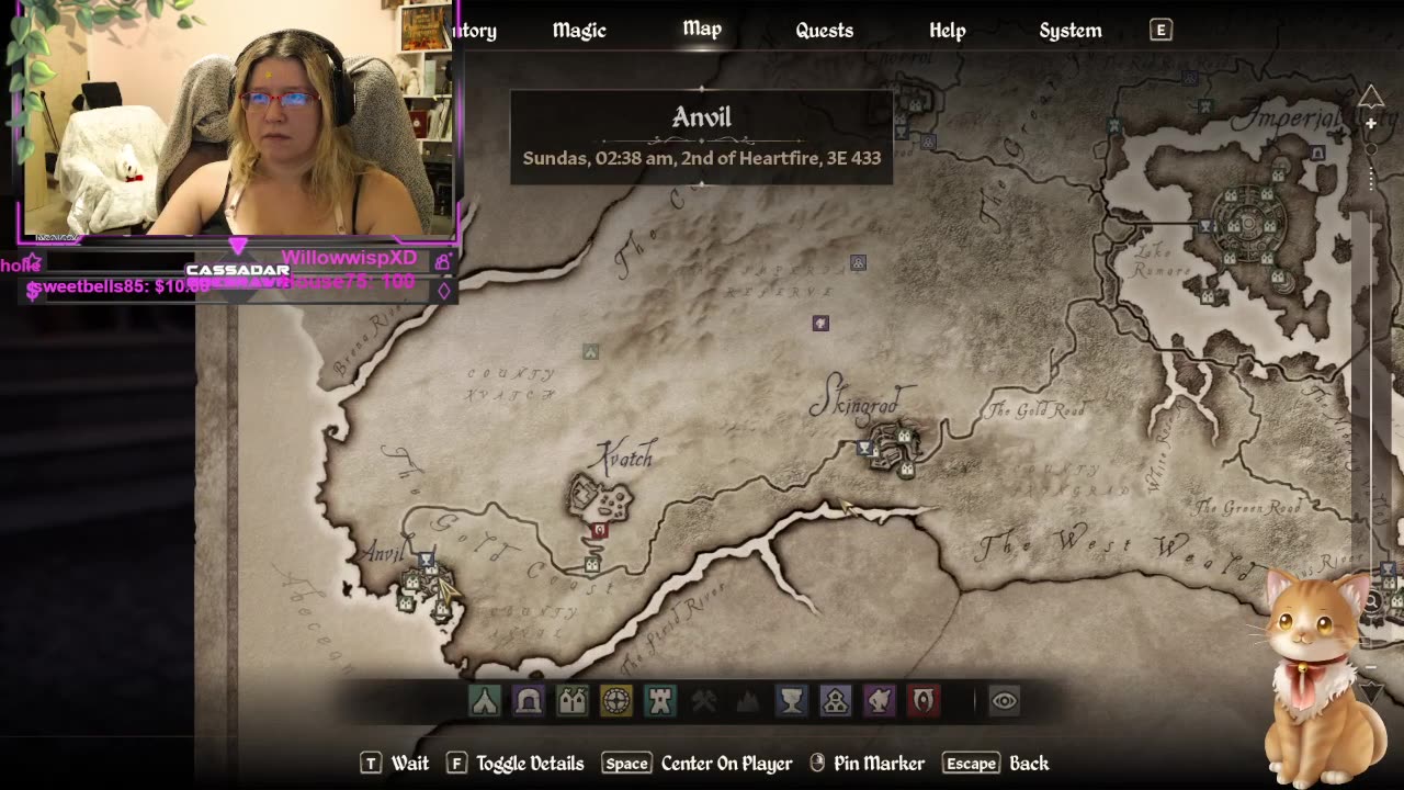 Chicken Live Stream