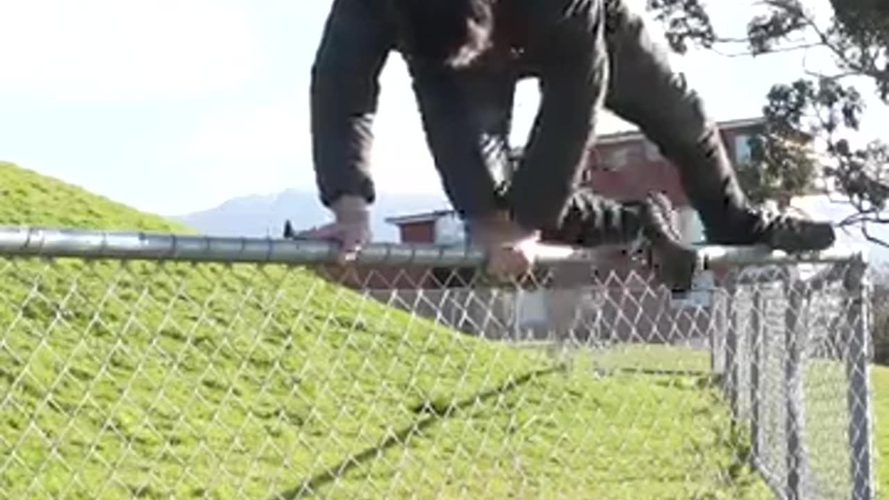 $5 VS $600 Rs tug of War
