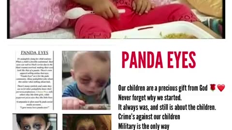 Panda eyes