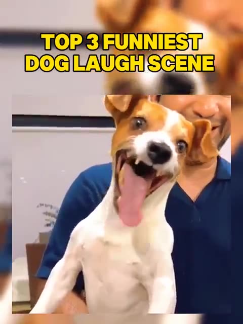 "Dog "Tail Wags and Monkey Gags!"