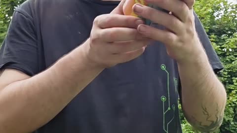 Fuzzy Baby Ducks #ShotForShot #drink #shots #liquor #like #comment #subscribe #share #Shorts