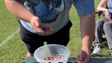 🍭😋 Candy Salad: The Sweetest Recipe Gone Wrong! | FunFM