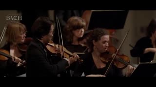 Bach - Magnificat BWV 243 - Van Veldhoven | Netherlands Bach Society (2019) (Composed 1723)