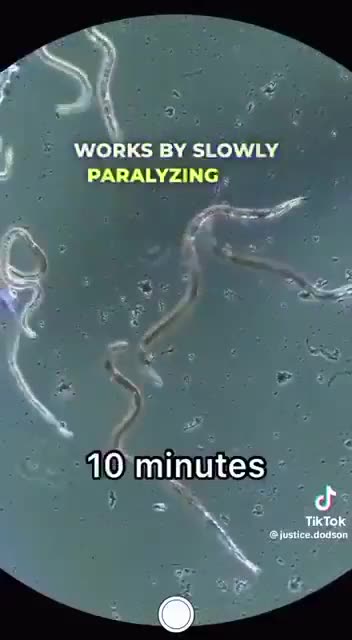 Ivermectin kills Parasites.