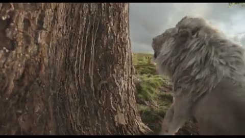 Adrian Soto, Sonia Dorado, Paloma Blanco - Bye Bye (De _Mufasa_ El Rey Le¿«n_) 360p