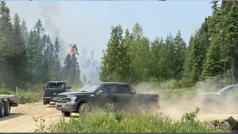 ‘Stay out of the woods’: New Brunswick closing Crown lands due to extreme wildfire hazard