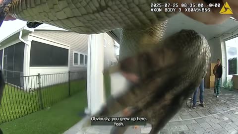 Deputy In Florida Fishes Grumpy Gator From Swimming Pool With Bare Hands