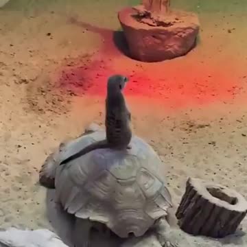 Mobile observation platform.. 😅