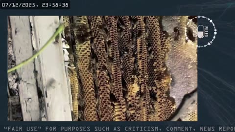 INSOMNIA STREAM: DEMOCRAT HOAX EDITION