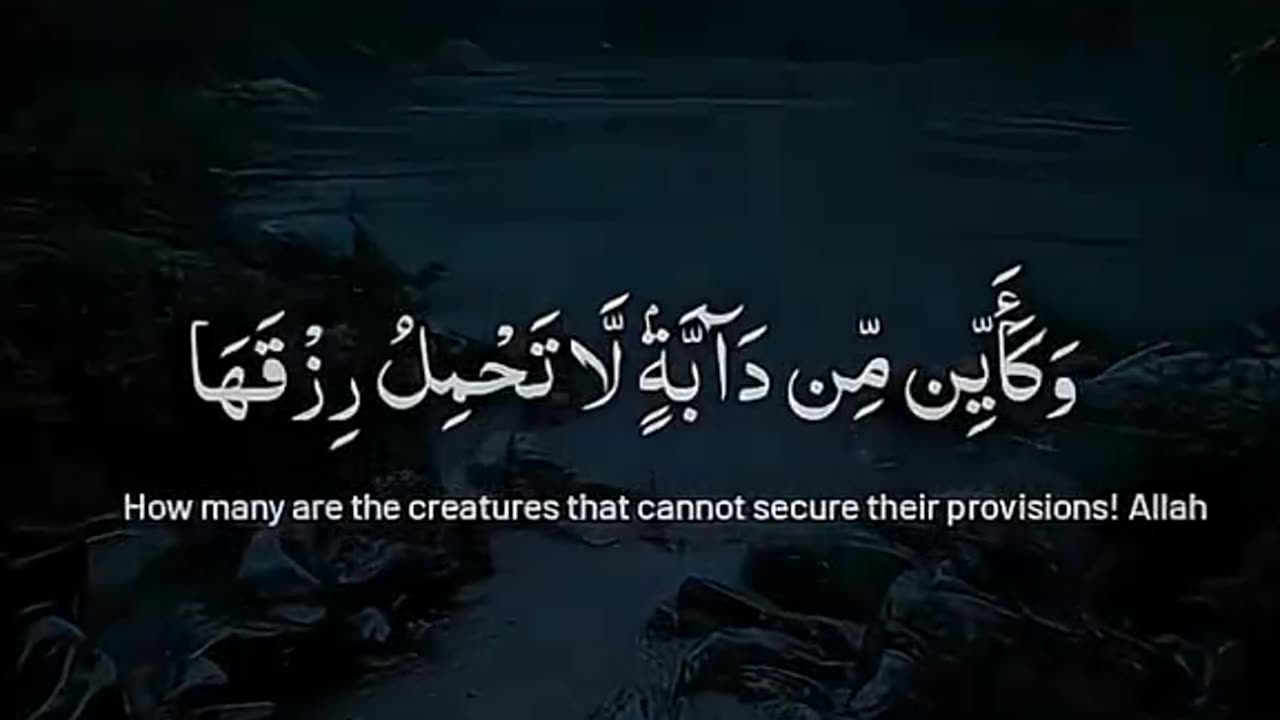 Jazakallah Subahanallah ♥️✨🕊️💯