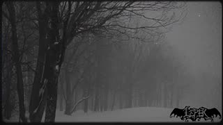 LEPER - SILENT NIGHT