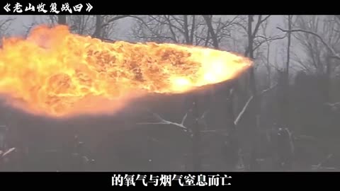 老山战役（四）