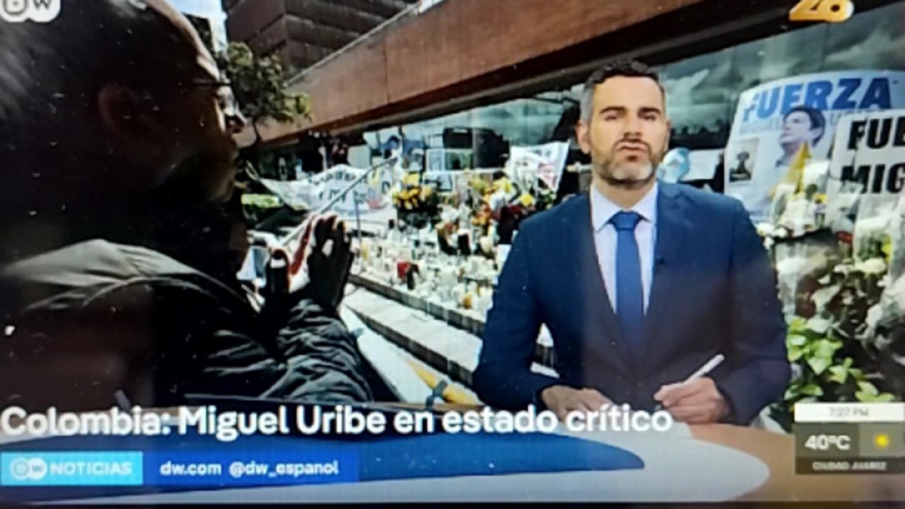 Golden Wolf Diamond Universal 1