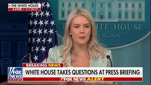 Maggie Haberman Confronts Leavitt Over Trump Denial on Bombshell Epstein Letter