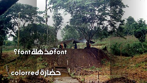 الأمازون: حضارة ضائعة أكثر ذكاءً مما تتخيل؟ ️