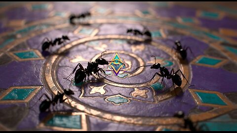 Unconsensual Insults | Alr V Qlr, Sweet Tea Pregnant, and Other Human Anomolies