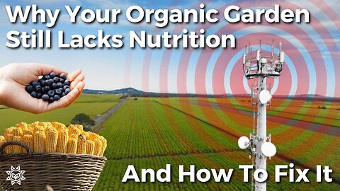 You’re Growing Organic…But It’s Still Nutrient Deficient? Here’s Why.