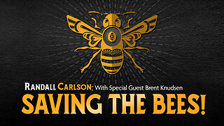 Saving The Bees and Healing The Planet!