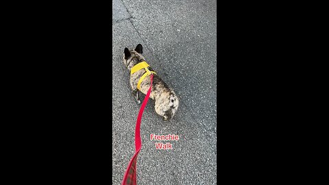 Puff daddy walk