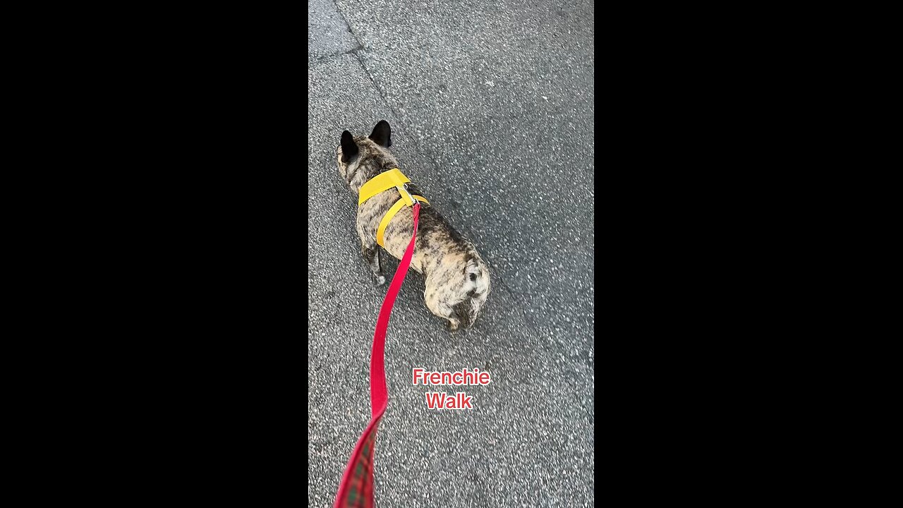 Puff daddy walk