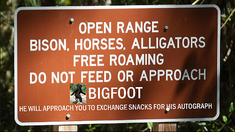 Looking for Bigfoot in central Florida!
