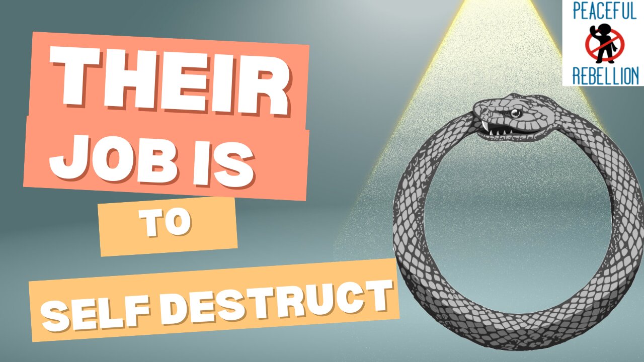 Bringing down the BADDIES is their job, not ours! Find out why! Peaceful Rebellion