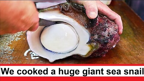 We cooked a huge giant sea snail