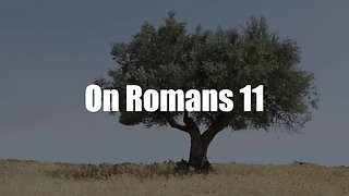 Christ The King Podcast - Episode 67 - On Romans 11