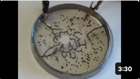 "Graphene Oxide: An Active Ingredient in Your Injections!"