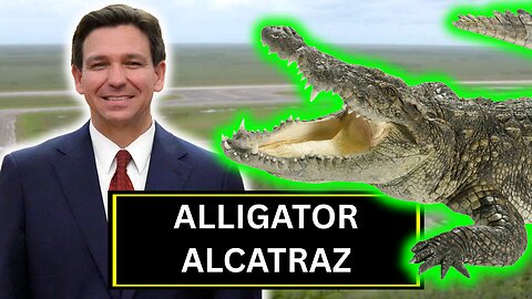 Alligator Alcatraz Is WILD! New Detention Facility SURROUNDED By Alligators