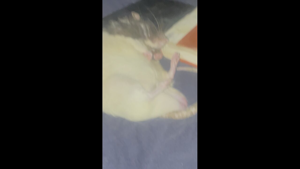 Tupy. Letting it air out