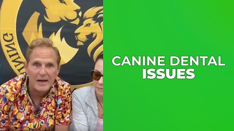 Canine Dental Issues Explained