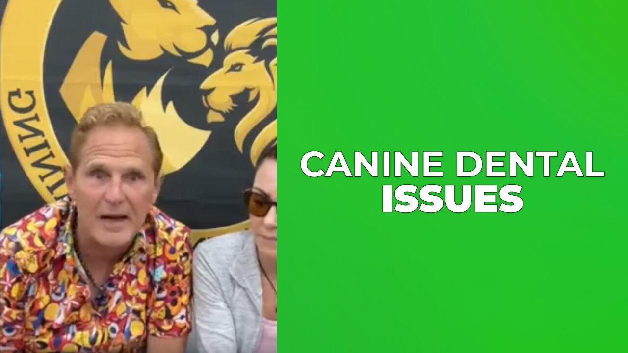 Canine Dental Issues Explained