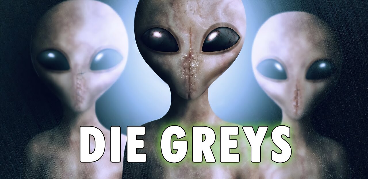 Die Greys Haben Mir Das Angetan Wo Ich Geschlafen Habe 23.07.2025 Geistheiler Sananda Hat Recht