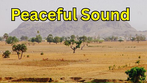 Peaceful White Noise (Black Screen) | Sleep, Focus, Relax