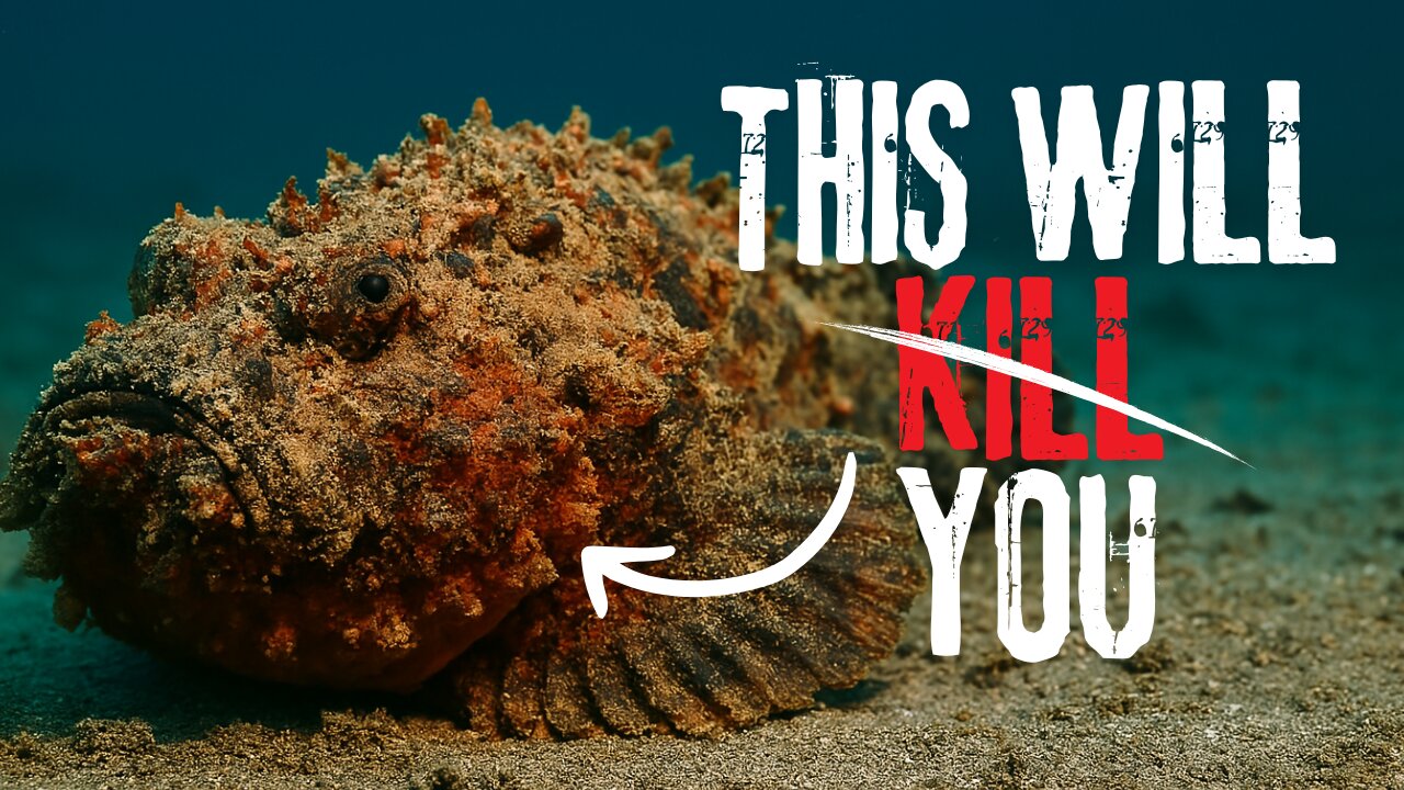 Scientists Call It the Most Painful Sting in Nature