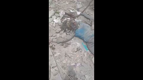 Heartbreaking Scene in gaza