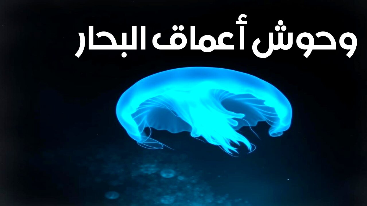 أعماق البحار: وحوش مخيفة أسرارها المنسية! #أعماق_البحار #وحوش_البحر #أسرار_المحيطات