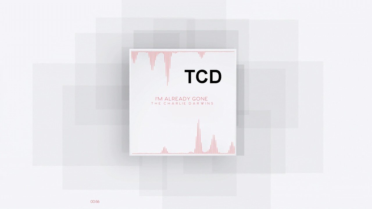 The Charlie Darwins - I'm Already Gone (Basic Audio Visualizer) 1080p