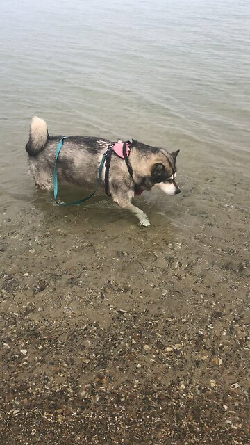 Monday, May 5, When you pray, I will listen.