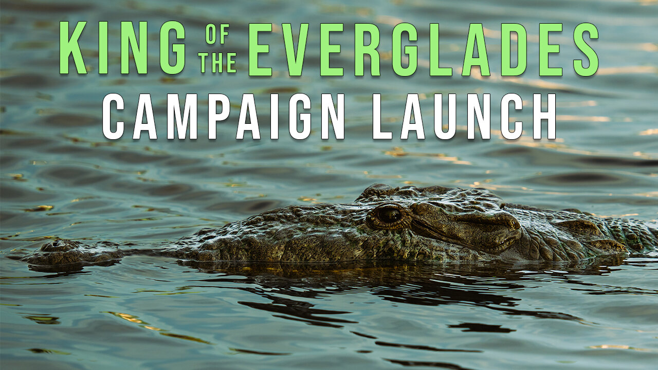 CROCZILLA: Hunt for Florida's Giant Predator | Everglades Documentary Campaign