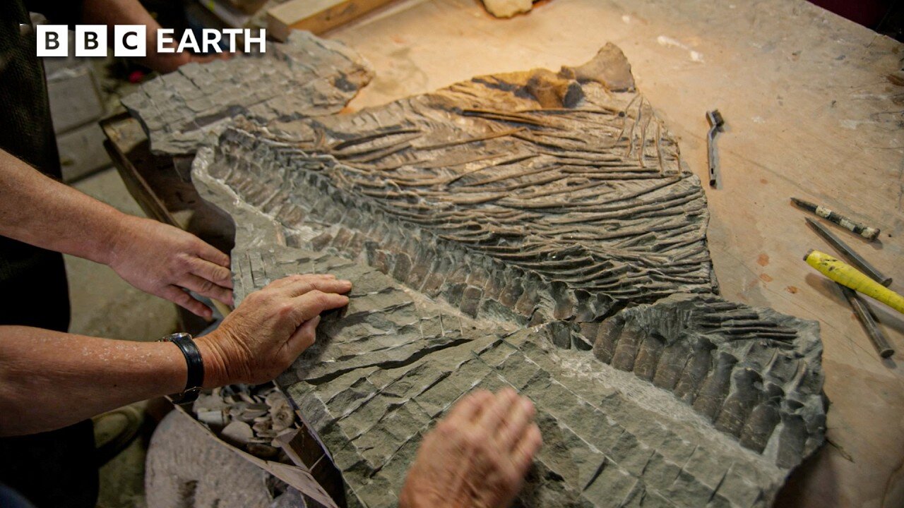 Sir David Attenborough Investigates A Jurassic Murder Mystery | BBC Earth