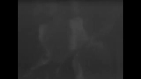 🇺🇸⚖️🇺🇸🗽🇺🇸🔒🇺🇸 'ALCOHOL' 'Y&T' 'STRUCK DOWN' LIVE AT 'WINTERLAND' 11/19/1974