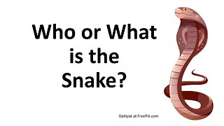 Who or What is the Snake?