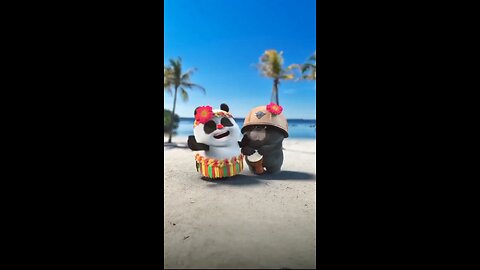 Funny videos