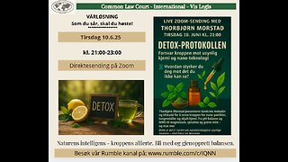 11.6: DETOX-PROTOKOLLEN med Thorbjørn Morstad