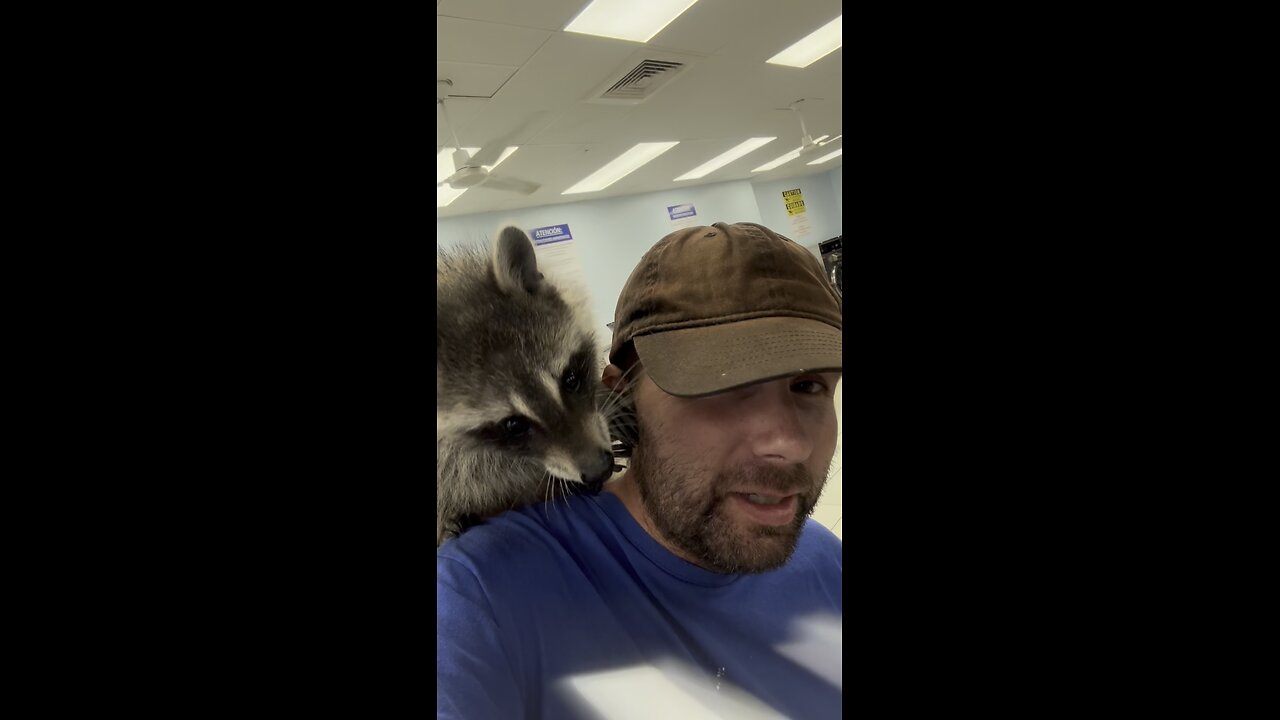 Meet Mr Fluff