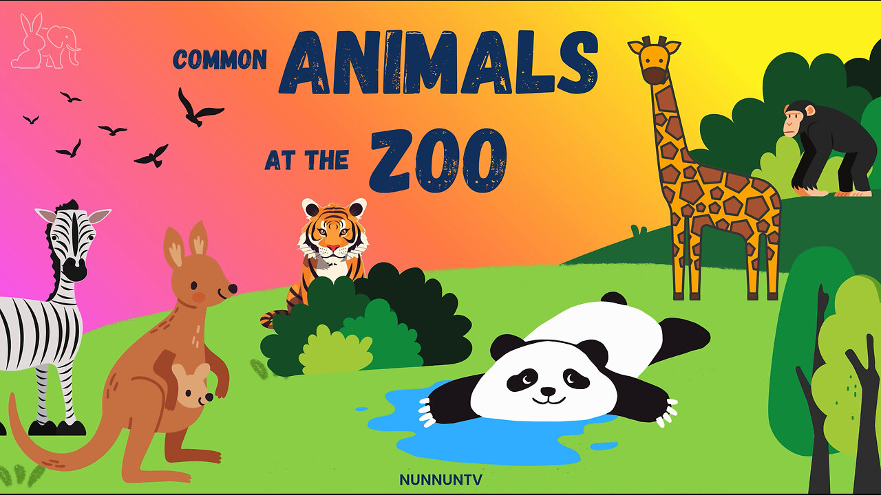 Roar, Hop & Splash! Zoo Animals You’ll Love!